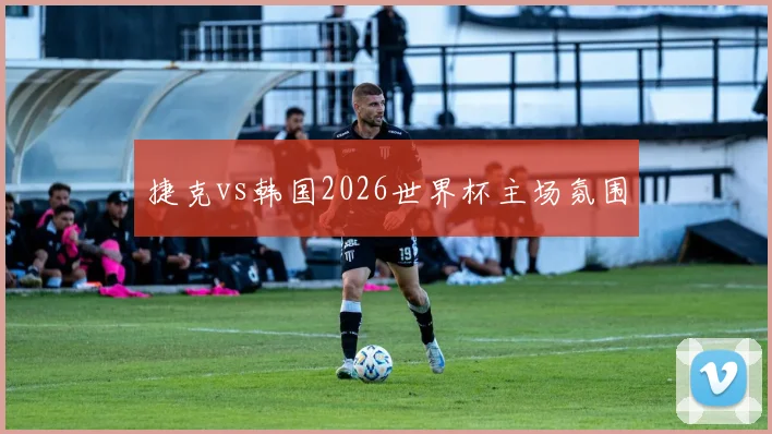 捷克vs韩国2026世界杯主场氛围