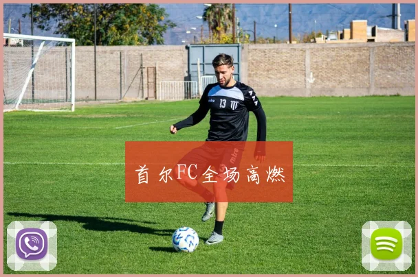 首尔FC全场高燃 - 开云Kaiyun滚球app官网下载