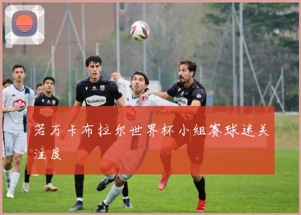 若万卡布拉尔世界杯小组赛球迷关注度
