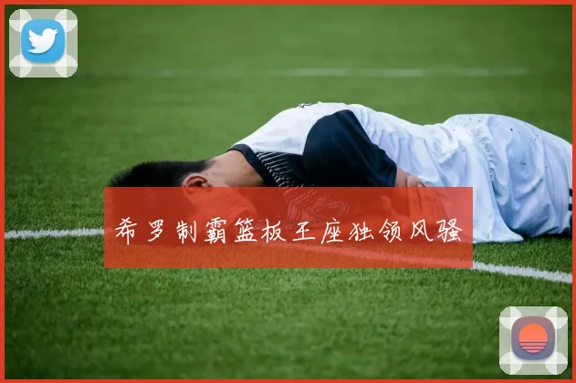 希罗制霸篮板王座独领风骚 - 开云Kaiyun滚球app官网下载