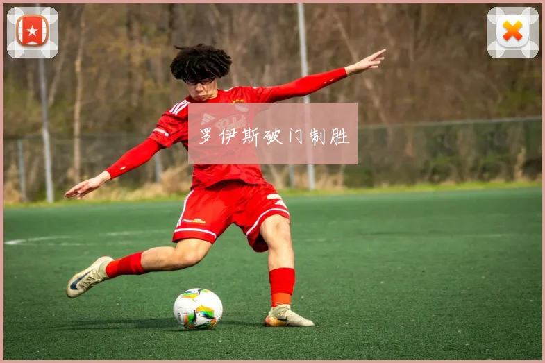 罗伊斯破门制胜 - 开云Kaiyun滚球app官网下载