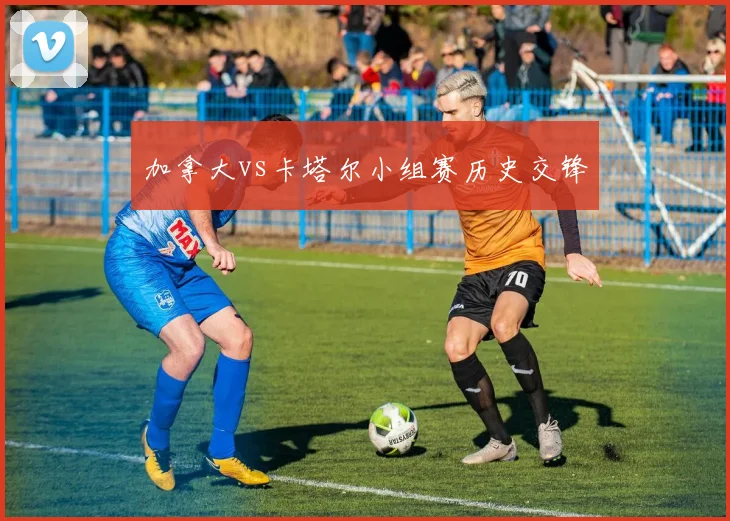 加拿大vs卡塔尔小组赛历史交锋