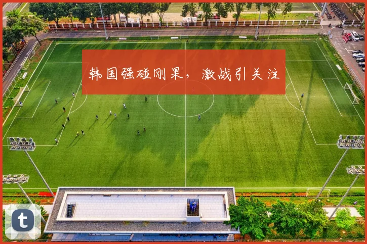 韩国强碰刚果，激战引关注 - 开云Kaiyun滚球app官网下载