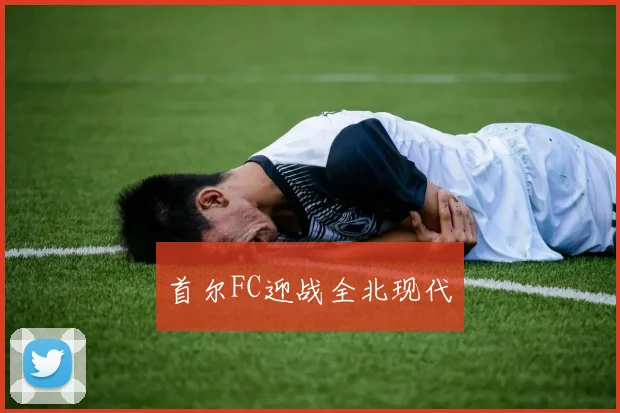 首尔FC迎战全北现代 - 开云Kaiyun滚球app官网下载