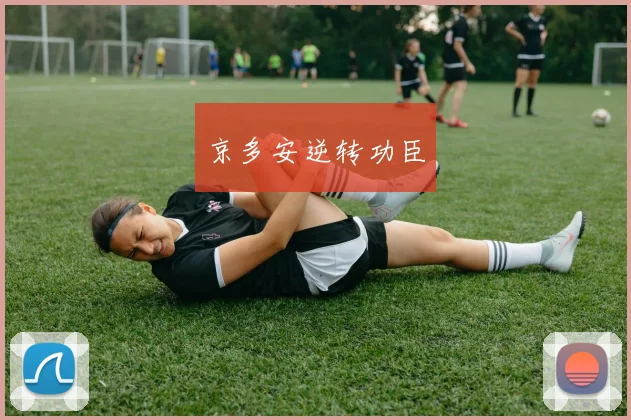 京多安逆转功臣 - 开云Kaiyun滚球app官网下载