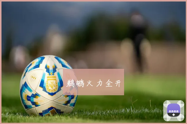 鹈鹕火力全开 - 开云Kaiyun滚球app官网下载