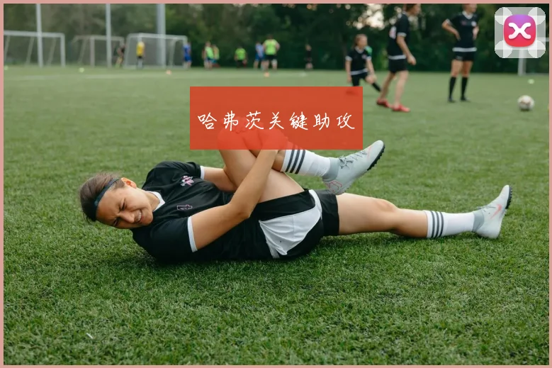 哈弗茨关键助攻 - 开云Kaiyun滚球app官网下载