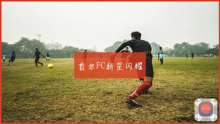 首尔FC新星闪耀 - 开云Kaiyun滚球app官网下载