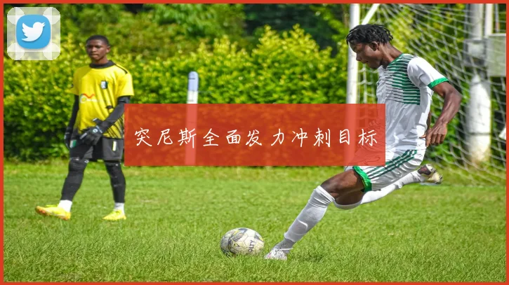突尼斯全面发力冲刺目标 - 开云Kaiyun滚球app官网下载