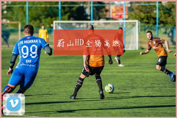 蔚山HD全场高燃 - 开云Kaiyun滚球app官网下载