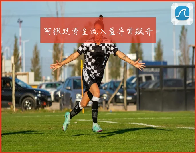 阿根廷资金流入量异常飙升 - 开云Kaiyun滚球app官网下载