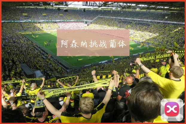 阿森纳挑战葡体 - 开云Kaiyun滚球app官网下载