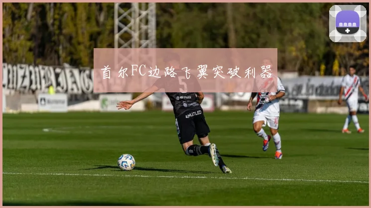 首尔FC边路飞翼突破利器 - 开云Kaiyun滚球app官网下载