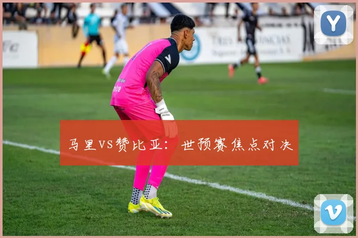 马里vs赞比亚：世预赛焦点对决 - 开云Kaiyun滚球app官网下载