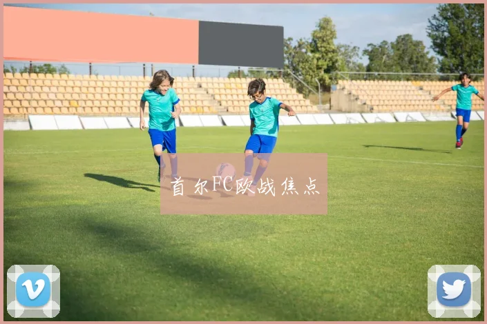 首尔FC欧战焦点 - 开云Kaiyun滚球app官网下载