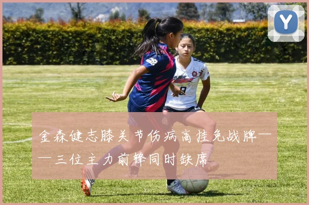 金森健志膝关节伤病高挂免战牌——三位主力前锋同时缺席 - 开云Kaiyun滚球app官网下载