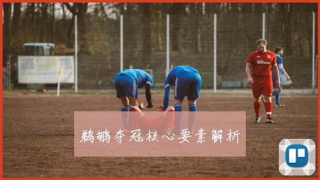 鹈鹕夺冠核心要素解析 - 开云Kaiyun滚球app官网下载