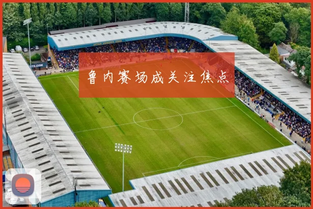 鲁内赛场成关注焦点 - 开云Kaiyun滚球app官网下载
