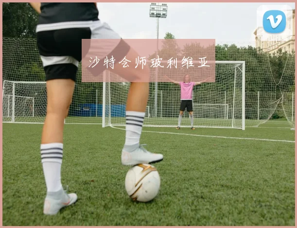 沙特会师玻利维亚 - 开云Kaiyun滚球app官网下载
