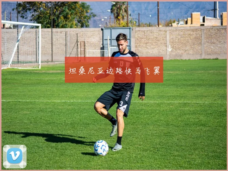 坦桑尼亚边路快马飞翼 - 开云Kaiyun滚球app官网下载