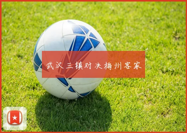 武汉三镇对决梅州客家 - 开云Kaiyun滚球app官网下载