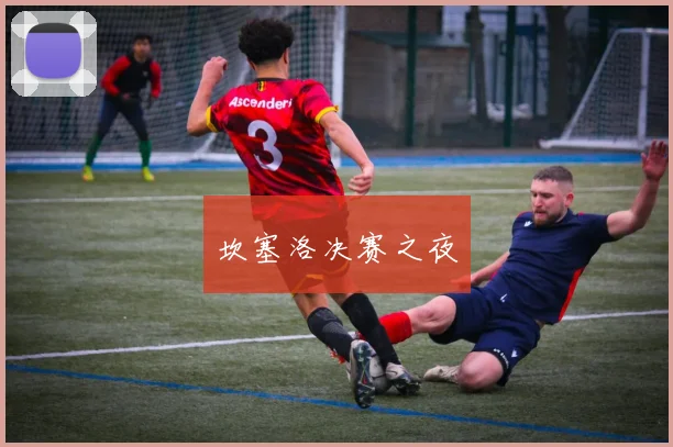 坎塞洛决赛之夜 - 开云Kaiyun滚球app官网下载