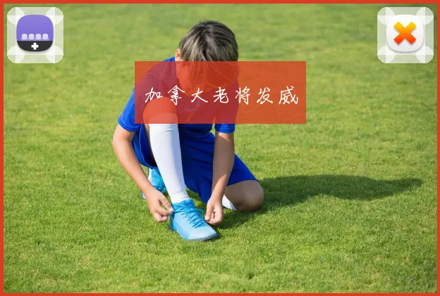 加拿大老将发威 - 开云Kaiyun滚球app官网下载