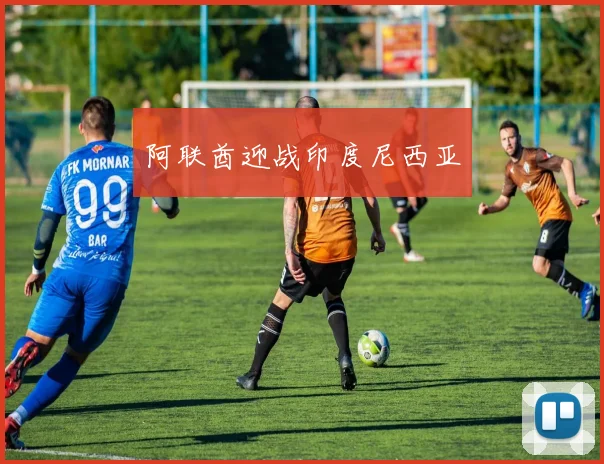 阿联酋迎战印度尼西亚 - 开云Kaiyun滚球app官网下载