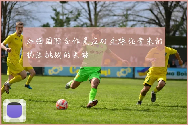 加强国际合作是应对全球化带来的执法挑战的关键 - 开云Kaiyun滚球app官网下载