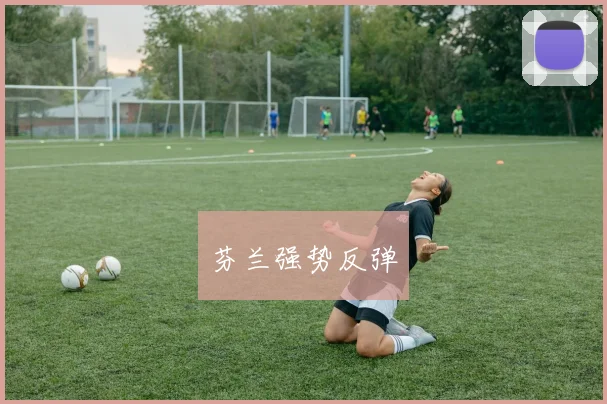 芬兰强势反弹 - 开云Kaiyun滚球app官网下载