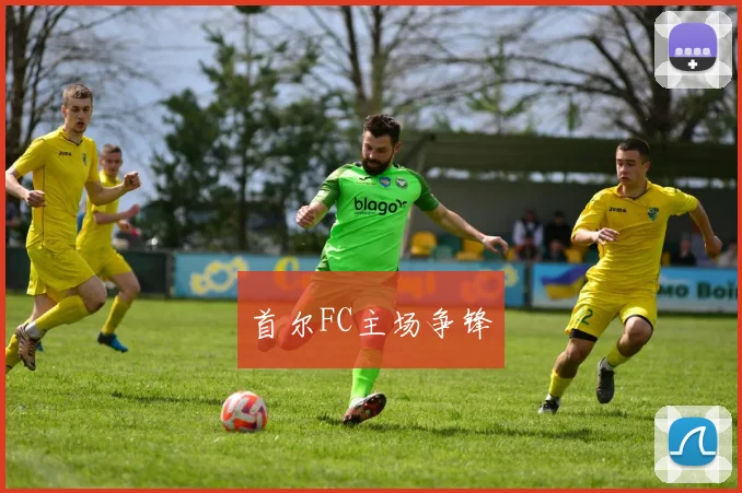 首尔FC主场争锋 - 开云Kaiyun滚球app官网下载