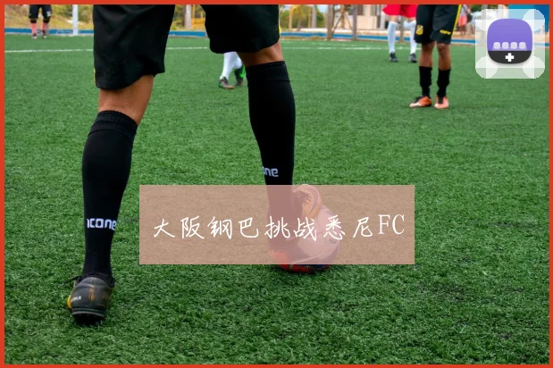 大阪钢巴挑战悉尼FC - 开云Kaiyun滚球app官网下载
