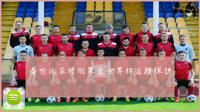 哥伦比亚对刚果金世界杯后腰保护