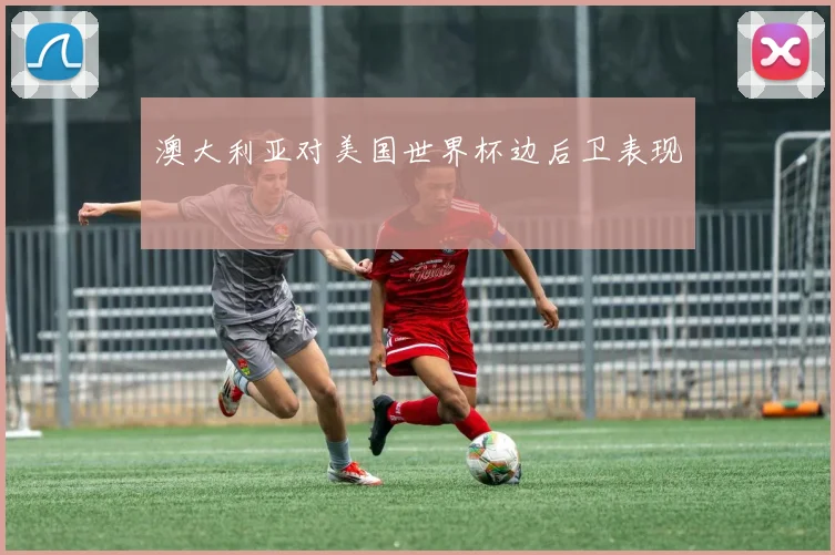 澳大利亚对美国世界杯边后卫表现