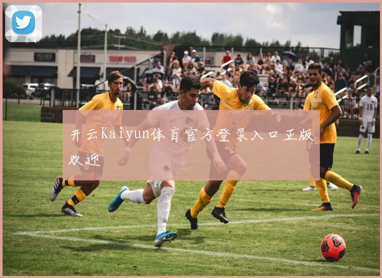 开云Kaiyun体育官方登录入口正版欢迎