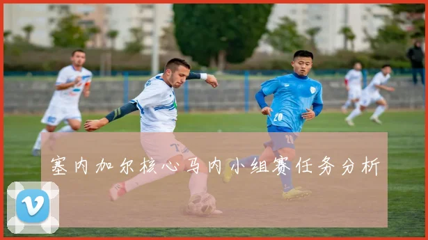 塞内加尔核心马内小组赛任务分析