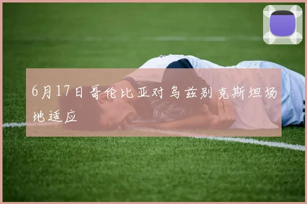 6月17日哥伦比亚对乌兹别克斯坦场地适应